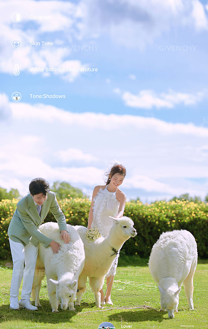 阳光森林-风之旅行