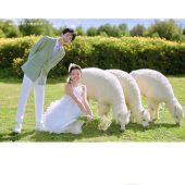 阳光森林-风之旅行