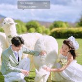 阳光森林-风之旅行