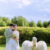 阳光森林-风之旅行