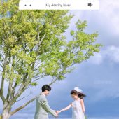 阳光森林-风之旅行