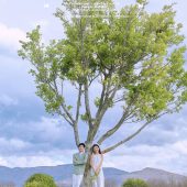 阳光森林-风之旅行