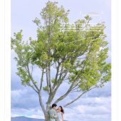 阳光森林-风之旅行