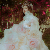 林先生&封女士 公主殿下