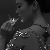 大小洞天-散落星海