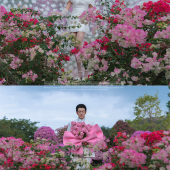 大小洞天-秘境花园