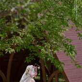 天涯海角-美梦成真