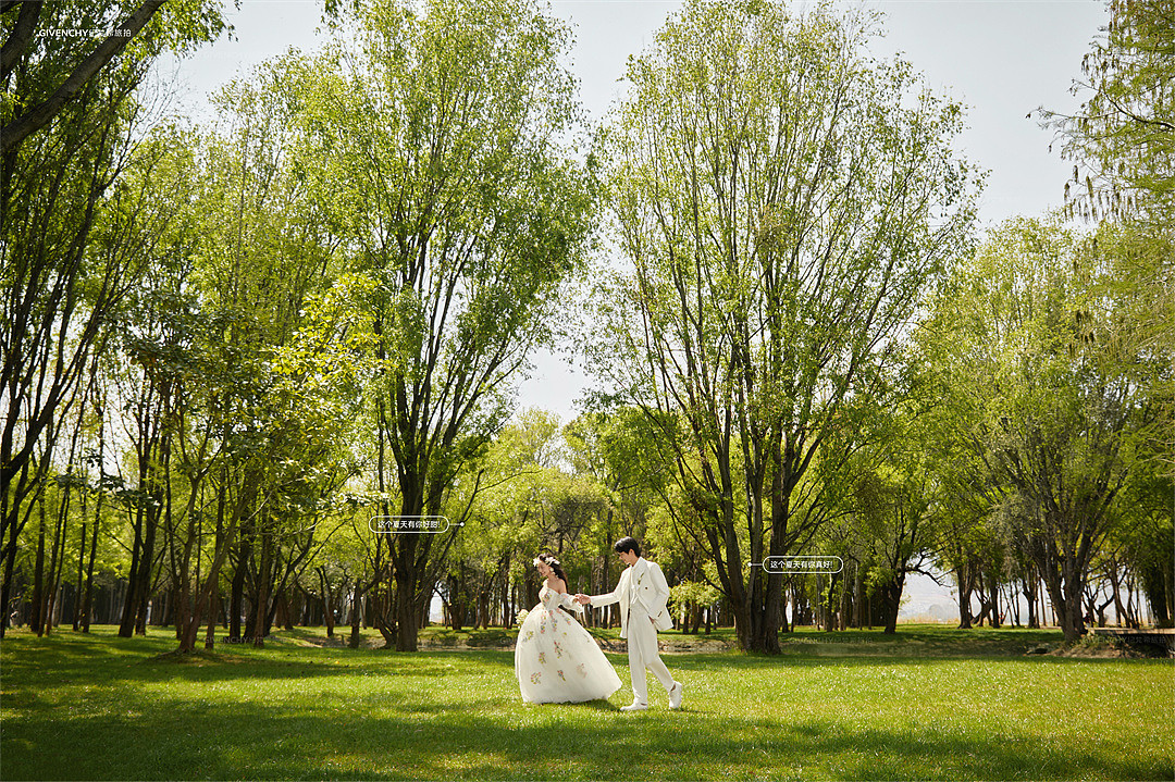 海舌公园-夏枝繁茂