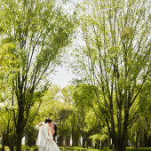 海舌公园-夏枝繁茂