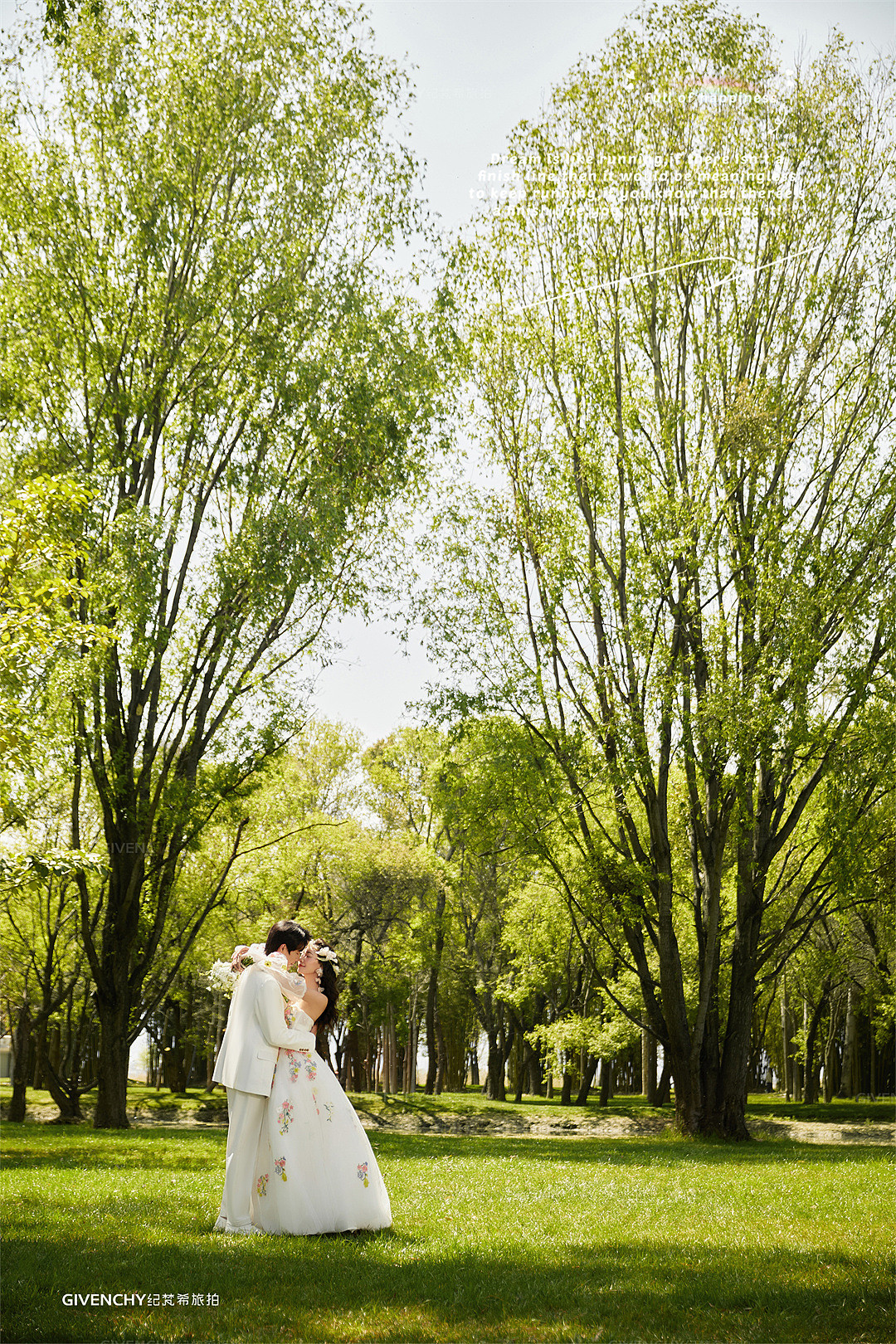 海舌公园-夏枝繁茂