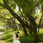 海舌公园-夏枝繁茂