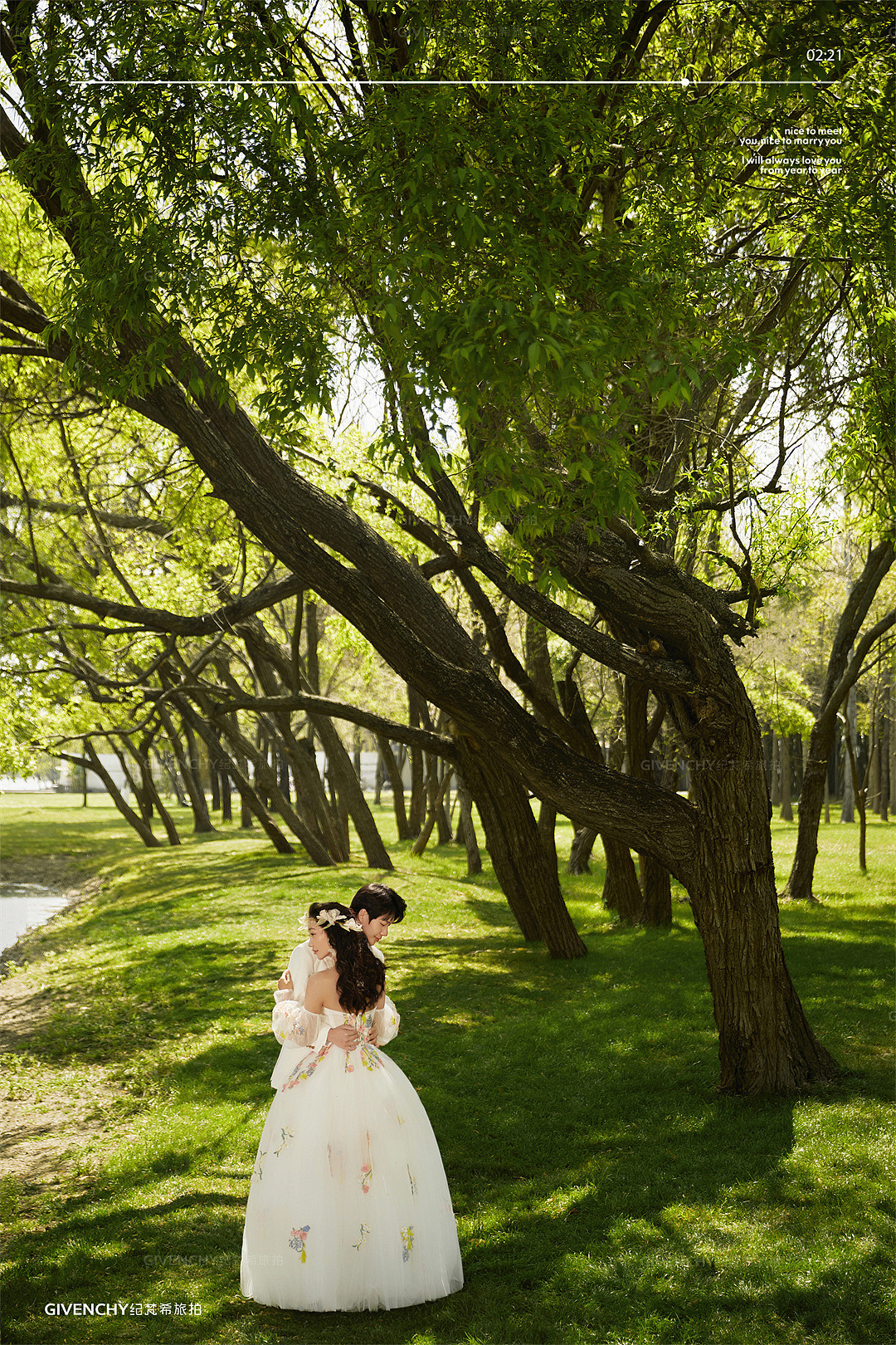 海舌公园-夏枝繁茂