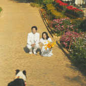 丽舍庄园-小城故事