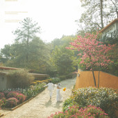 丽舍庄园-小城故事