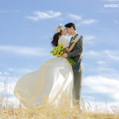 漫步时光-爱意盛放