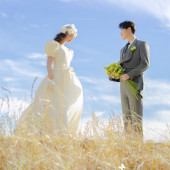 漫步时光-爱意盛放