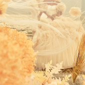 海舌公园-亲爱的旅人