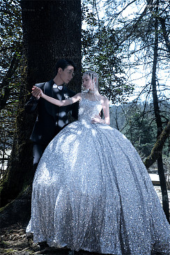 云杉坪-丛林守候