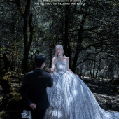 云杉坪-丛林守候