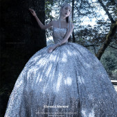 云杉坪-丛林守候