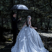 云杉坪-丛林守候