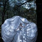 云杉坪-丛林守候