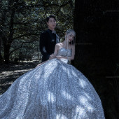 云杉坪-丛林守候