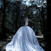 云杉坪-丛林守候