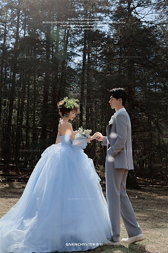 云杉坪-林间童话