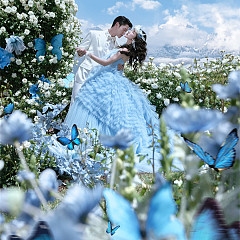 听花谷-蓝色梦境