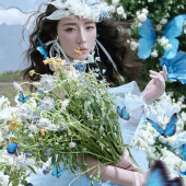 听花谷-蓝色梦境