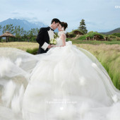 听花谷-绿茵之夏