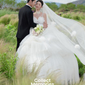 听花谷-绿茵之夏