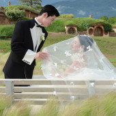 听花谷-绿茵之夏