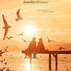 【风格展示】大理秋季海鸥