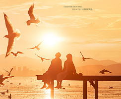 【风格展示】大理秋季海鸥