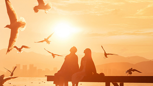 【风格展示】大理秋季海鸥