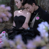 云杉坪-漫游森林