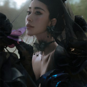 云杉坪-漫游森林