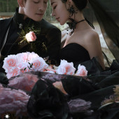 云杉坪-漫游森林