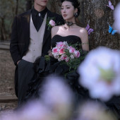 云杉坪-漫游森林