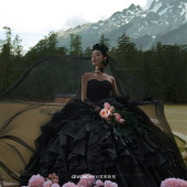 云杉坪-漫游森林