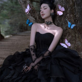 云杉坪-漫游森林