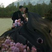 云杉坪-漫游森林