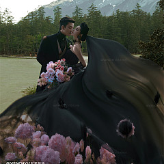 云杉坪-漫游森林