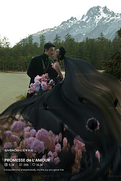 云杉坪-漫游森林