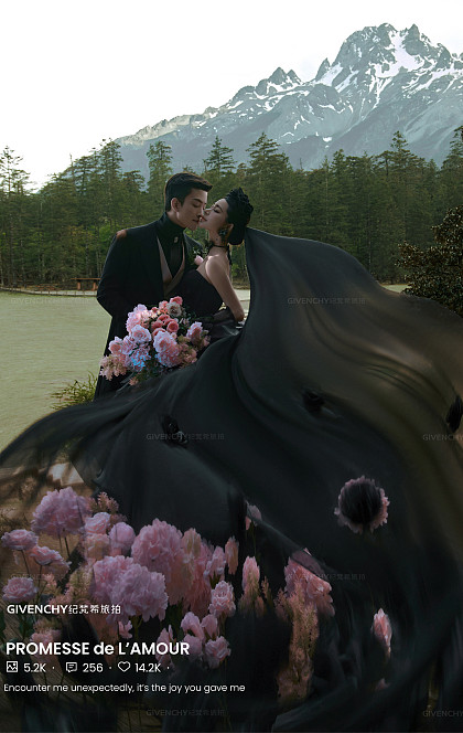 云杉坪-漫游森林