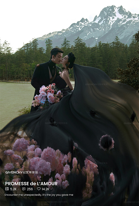 云杉坪-漫游森林