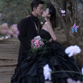 云杉坪-漫游森林