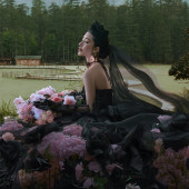 云杉坪-漫游森林